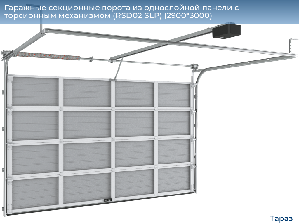 Гаражные секционные ворота из однослойной панели с торсионным механизмом (RSD02 SLP) (2900*3000), taraz.doorhan.ru