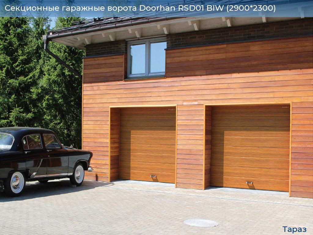 Секционные гаражные ворота Doorhan RSD01 BIW (2900*2300), taraz.doorhan.ru