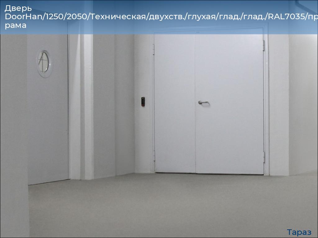 Дверь DoorHan/1250/2050/Техническая/двухств./глухая/глад./глад./RAL7035/прав./угл. рама, taraz.doorhan.ru
