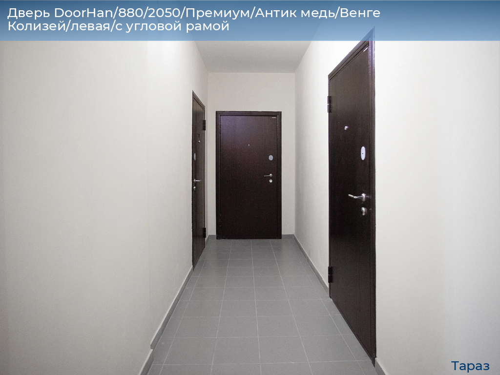 Дверь DoorHan/880/2050/Премиум/Антик медь/Венге Колизей/левая/с угловой рамой, taraz.doorhan.ru
