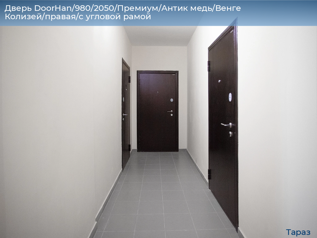 Дверь DoorHan/980/2050/Премиум/Антик медь/Венге Колизей/правая/с угловой рамой, taraz.doorhan.ru