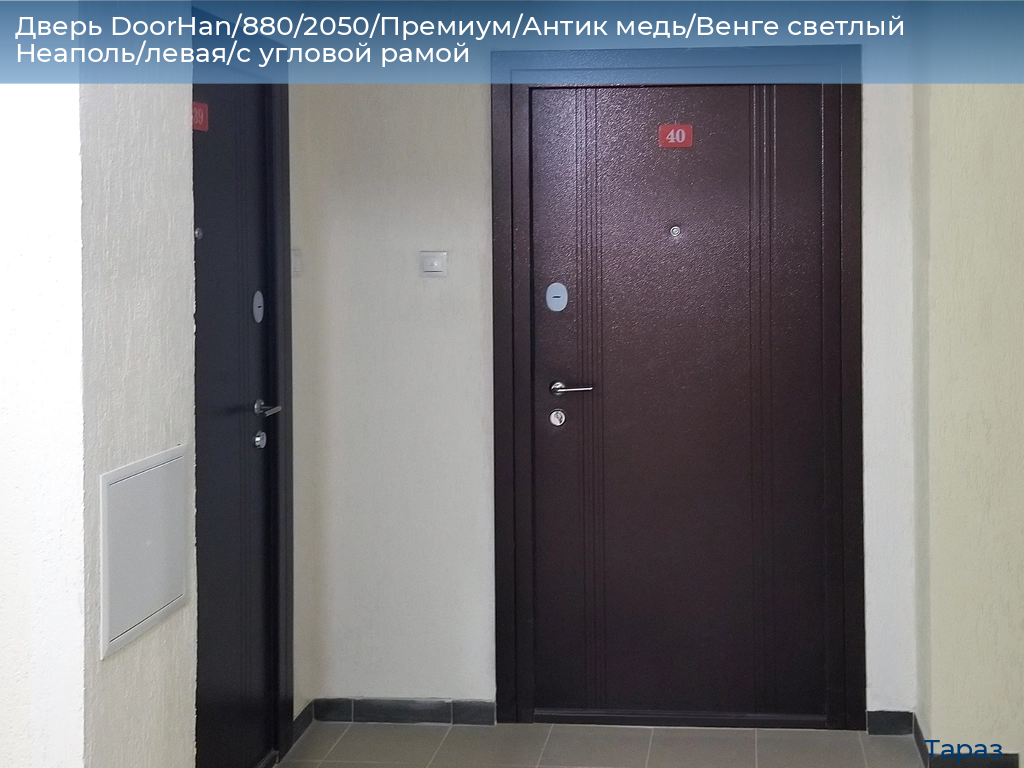 Дверь DoorHan/880/2050/Премиум/Антик медь/Венге светлый Неаполь/левая/с угловой рамой, taraz.doorhan.ru
