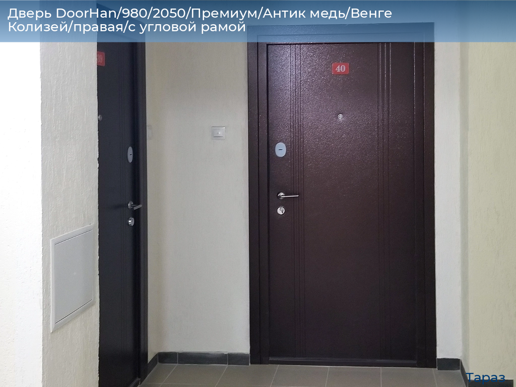 Дверь DoorHan/980/2050/Премиум/Антик медь/Венге Колизей/правая/с угловой рамой, taraz.doorhan.ru
