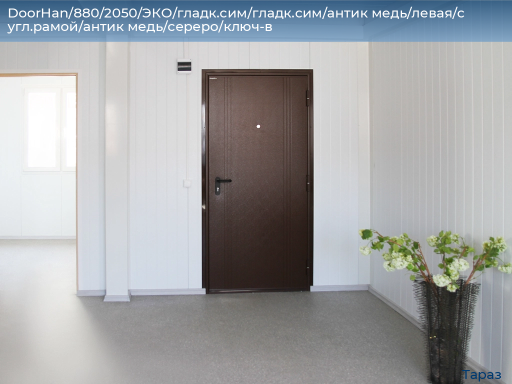 DoorHan/880/2050/ЭКО/гладк.сим/гладк.сим/антик медь/левая/с угл.рамой/антик медь/сереро/ключ-в, taraz.doorhan.ru