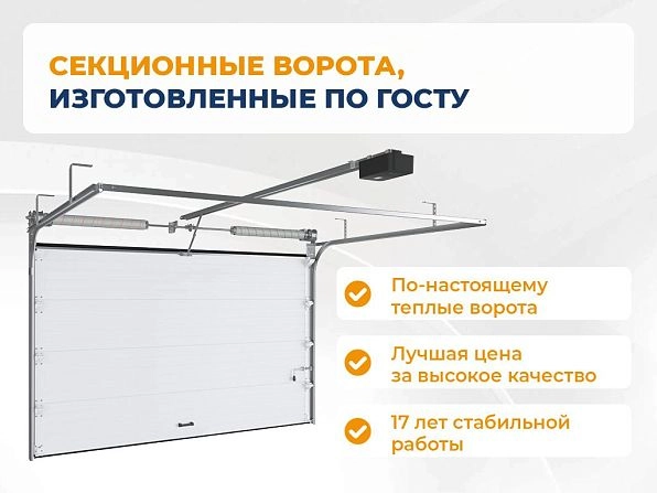 Секционные ворота 2500х2200 мм антрацитовые DoorHan RSD02, taraz.doorhan.ru